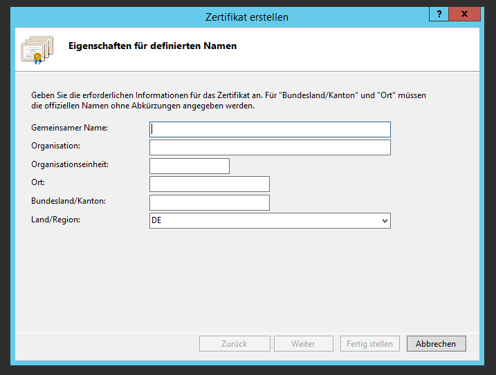 Active Directory IIS Certificate Request First Page