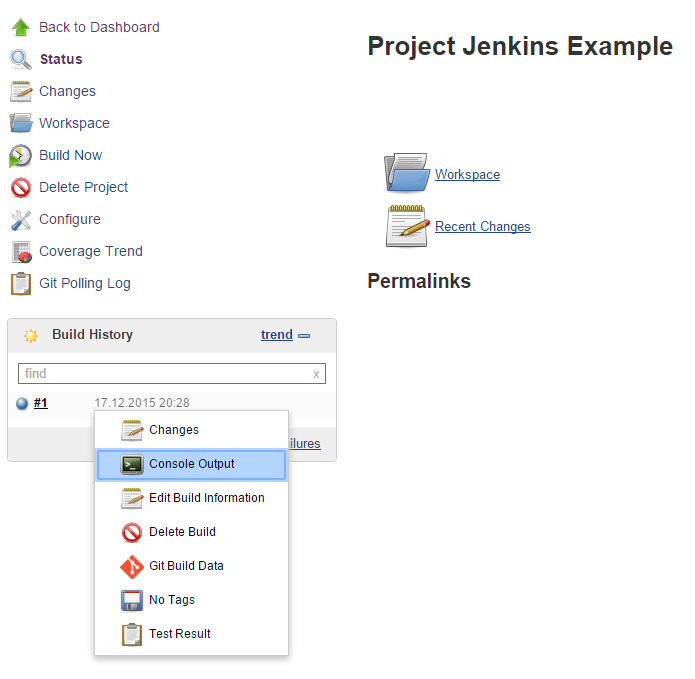 Jenkins Job Overview with Completed Job